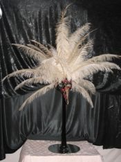 Feather Cascade Feather Fantasy